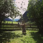 Schiederhof מיטרסיל