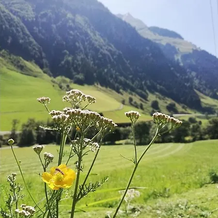 Farm stay Schiederhof