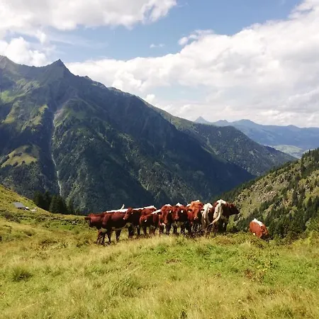 Schiederhof مزرعة للإقامة ميترسل