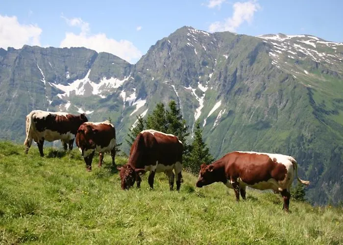Schiederhof