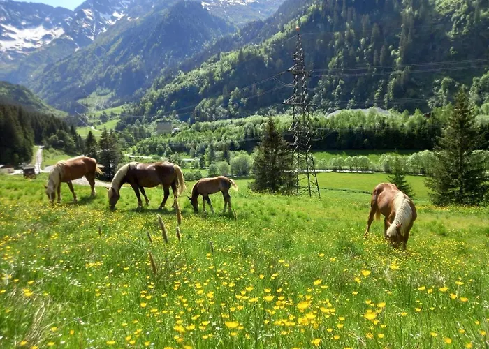 Schiederhof * Mittersill