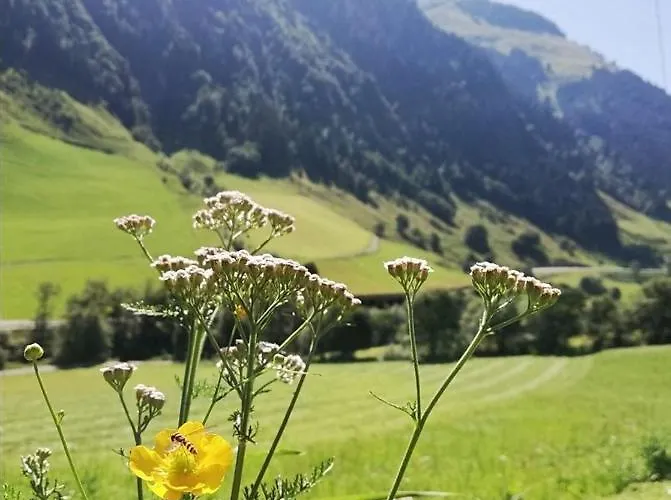 Çiftlik konaklama Schiederhof