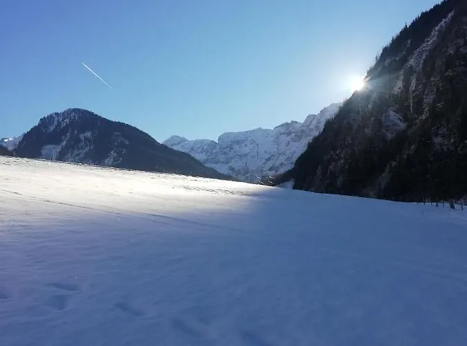 Schiederhof Çiftlik konaklama *